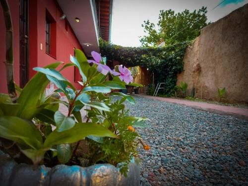 Outdoor Pictures 8