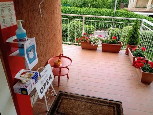 Outdoor Pictures 8