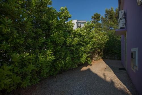 Outdoor Pictures 6