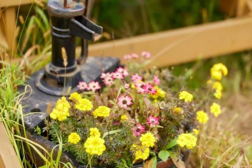 Outdoor Pictures 23