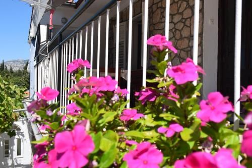 Outdoor Pictures 12