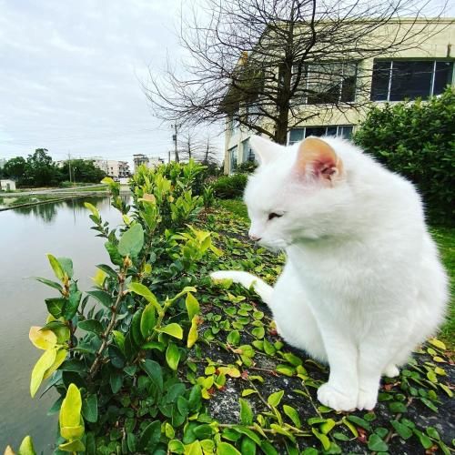 Outdoor Pictures 2
