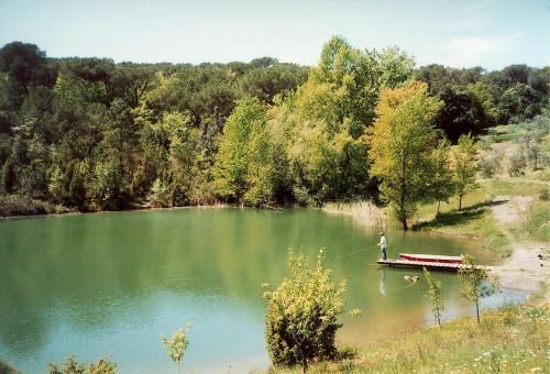Outdoor Pictures 17