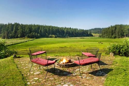 Outdoor Pictures 11