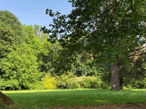 Outdoor Pictures 17