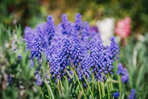 Outdoor Pictures 7
