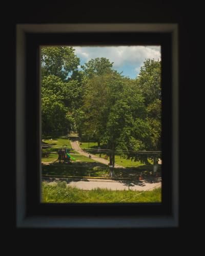 Outdoor Pictures 6