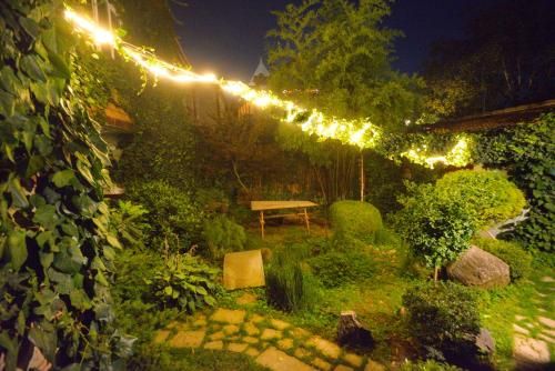 Outdoor Pictures 22