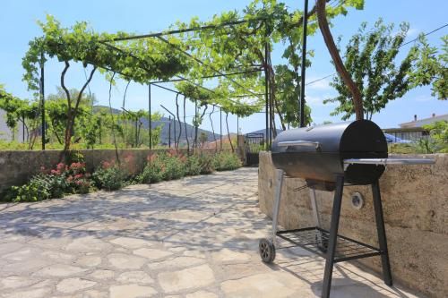 Outdoor Pictures 8