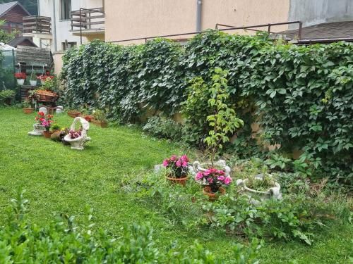 Outdoor Pictures 9