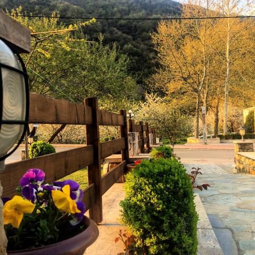 Outdoor Pictures 2