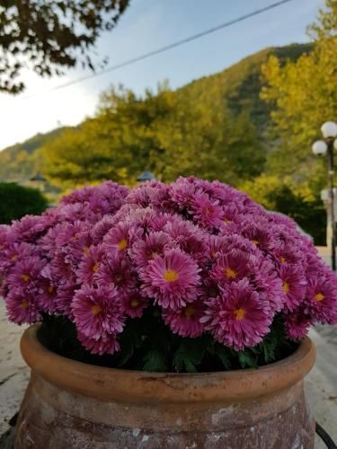 Outdoor Pictures 19