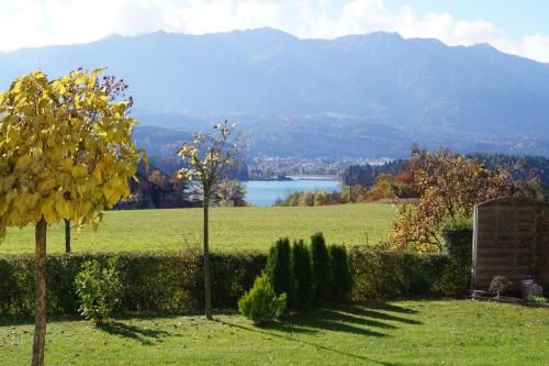 Outdoor Pictures 13