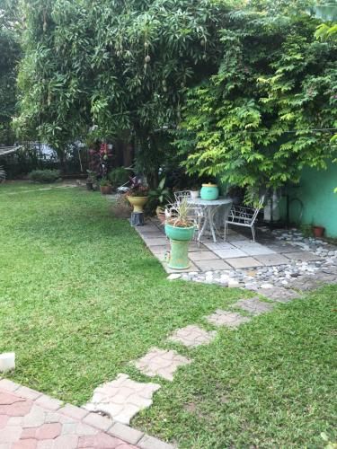 Outdoor Pictures 9