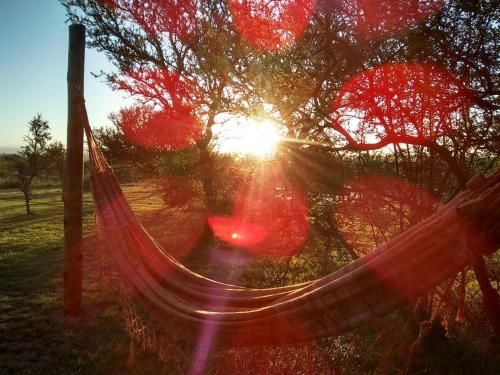 Outdoor Pictures 7