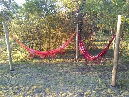 Outdoor Pictures 8