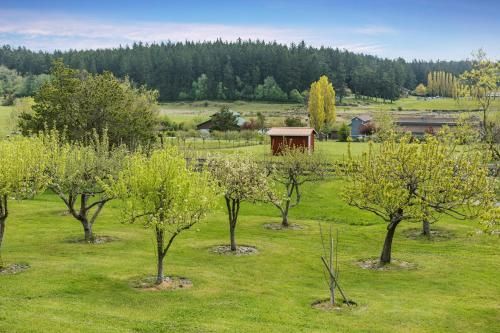 Outdoor Pictures 23