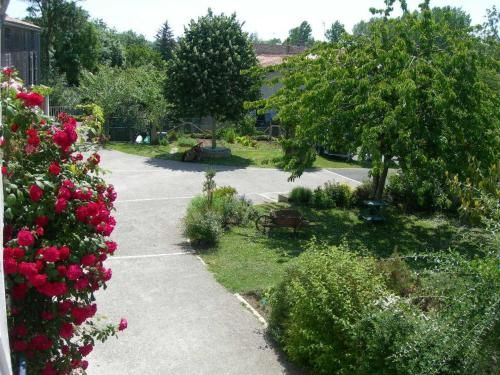 Outdoor Pictures 6