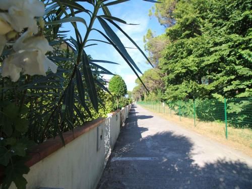 Outdoor Pictures 8