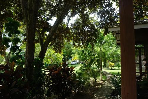 Outdoor Pictures 17