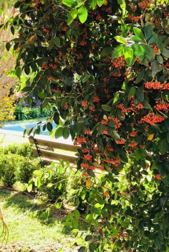 Outdoor Pictures 20