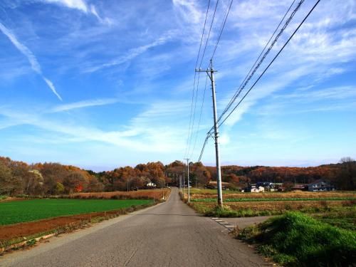 Outdoor Pictures 22