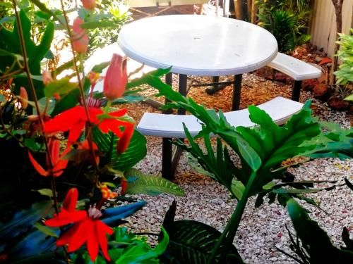 Outdoor Pictures 7