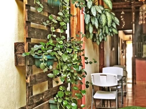 Outdoor Pictures 13