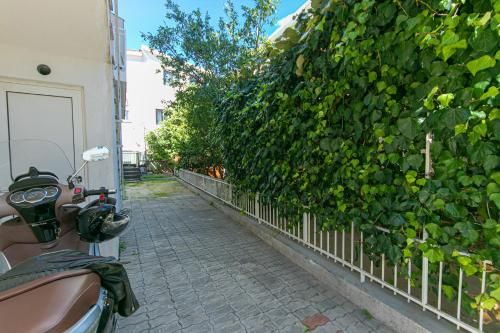 Outdoor Pictures 6