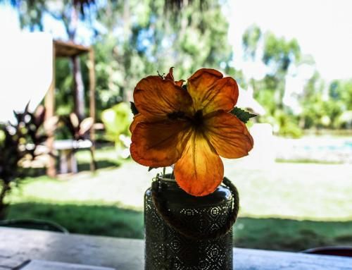 Outdoor Pictures 22