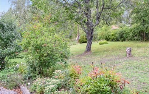 Outdoor Pictures 11