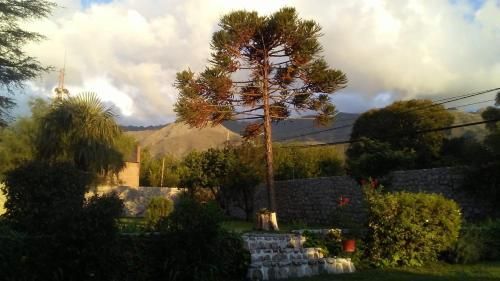 Outdoor Pictures 1