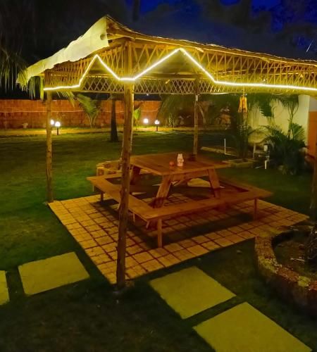 Outdoor Pictures 3