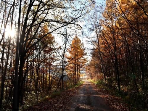 Outdoor Pictures 9