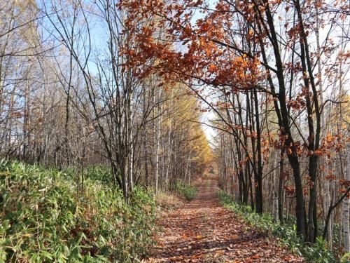 Outdoor Pictures 11