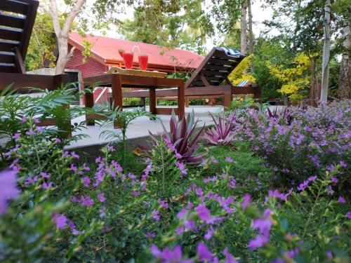 Outdoor Pictures 16