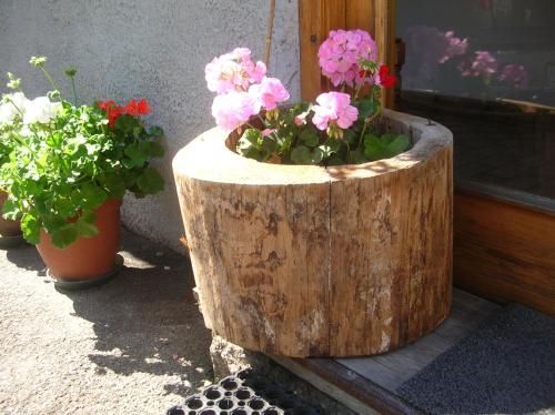 Outdoor Pictures 21