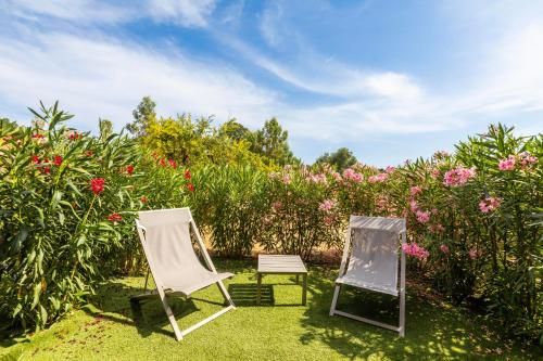 Outdoor Pictures 9