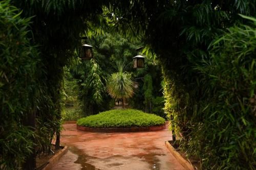 Outdoor Pictures 21