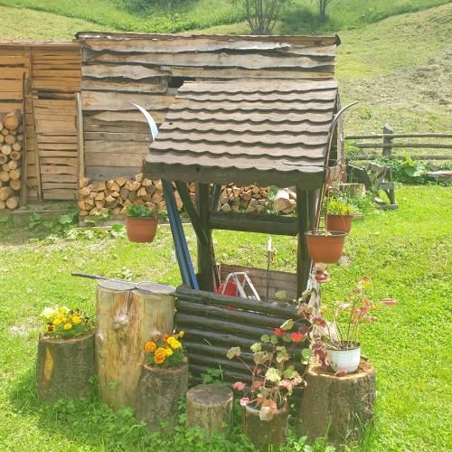 Outdoor Pictures 15