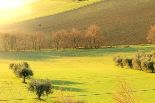 Outdoor Pictures 11