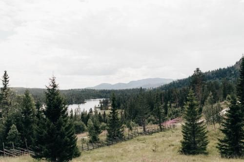 Outdoor Pictures 21