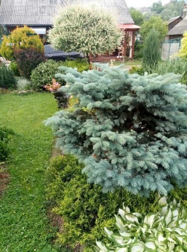 Outdoor Pictures 21