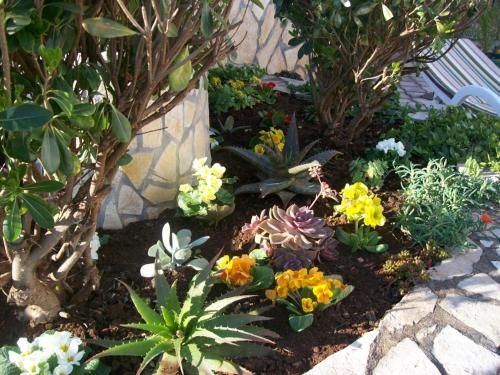 Outdoor Pictures 8