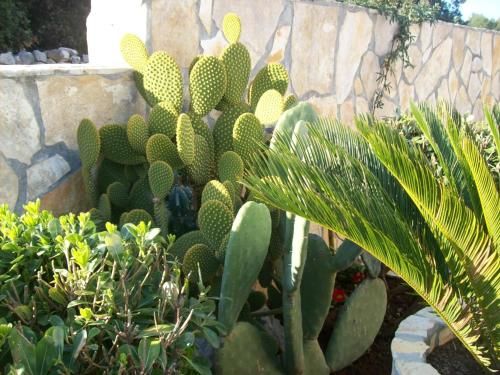 Outdoor Pictures 9