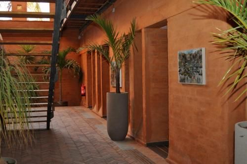 Outdoor Pictures 8