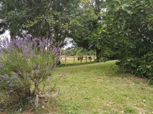 Outdoor Pictures 12