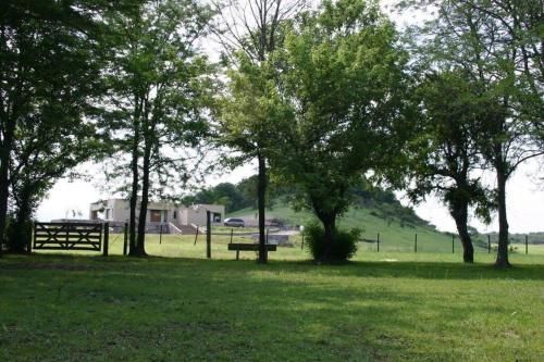 Outdoor Pictures 16