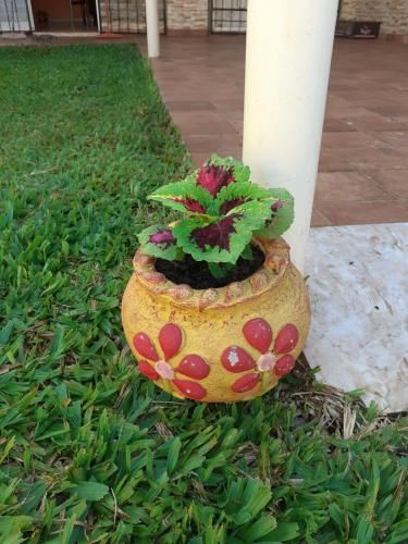 Outdoor Pictures 24