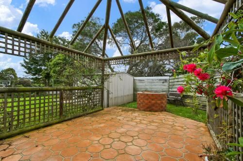 Outdoor Pictures 20